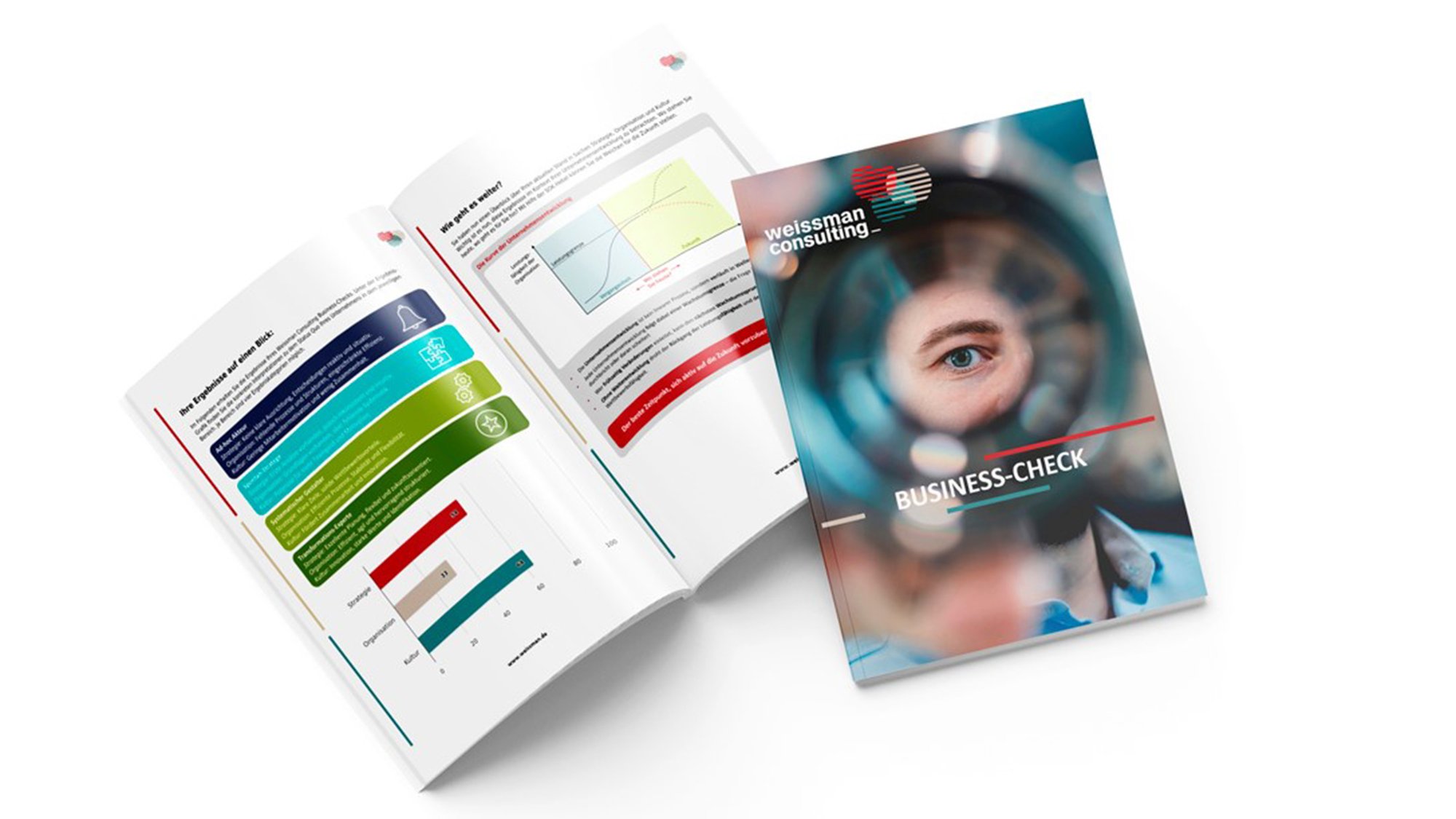 Mockup_Business-Check